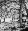 Knip Josephus Forest view Sun