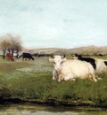 Maris Willem Cow in the meadow Sun