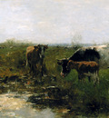 Maris Willem Drinking cows Sun