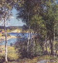 metcalf a family of birches