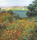 metcalf the poppy garden