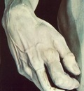 David hand detail EUR