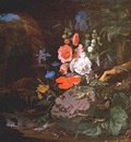 mignon flowers birds insects and reptiles in a cave c1675