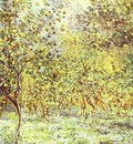 Claude Monet Lemon Trees  Bordighera