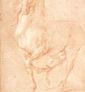 Puget Study of a Horse