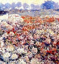 raphael rhododendron field 1910s