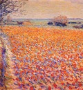 raphael tulip field, holland