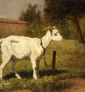 Ronner Knip Henriette A Goat In A Meadow