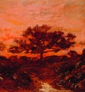 etude en foret de fontaine bleau