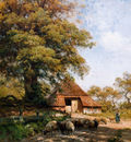 Sande van de Bakhuyzen Julius Sheepsherd Exloo Sun