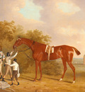Tomson Clifton Mr Watts Altisidora Winner Of The 1813 St Ledger