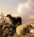Tschaggeny Edmond Jean Les Moutons