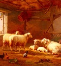 Verboeckhoven Eugene Joseph Sheep With Chickens And A Goat In A Barn