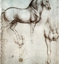 horse1