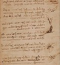 Codice sul volo degli uccelli