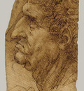 Head of a Man in Profile to Left