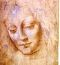 Leonardo Head of a young woman, Accademia, Venice