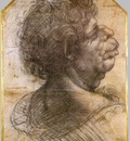 Leonardo da Vinci Grotesque head