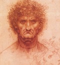 Leonardo da Vinci Old man with ivy wreath and lion s head