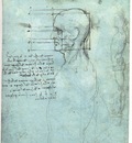 Study of proportions Head Body
