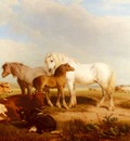 Willis Henry Brittan Horses And Cattle On The Shore
