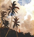 homer palm trees bahamas c1888