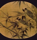 pic07969