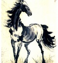 pic03476