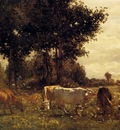 Troyon Constant Cows Grazing