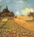 Wheatfields near Argenteuil