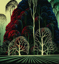 eucalyptus forest
