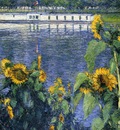 sunflowers on the banks of the seine