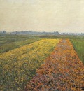 the yellow fields at gennevilliers