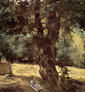 woman seated under a tree