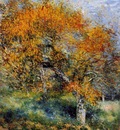 the pear tree 1880