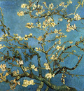 branches with almond blossom