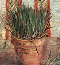 flowerpot with chives