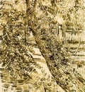 Ivy Trees at Asylum