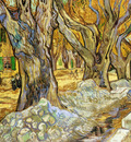 large plane trees