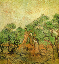 Olive Picking 1889 2  jpg