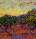 olive trees orange sky