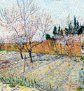 orchard with peach trees in blossom