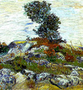rocks with oak tree