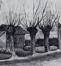 small house on a road with pollard willows