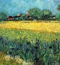 view of arles with irises