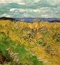 wheat field with cornflowers