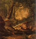 bierstadt14