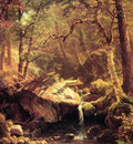 The Mountain Brook