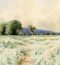 Bricher Alfred Thompson The Daisy Field