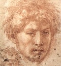 ANDREA DEL SARTO Head Of A Young Man